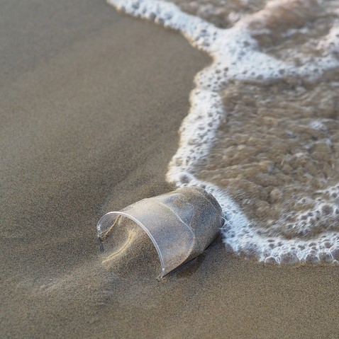 plastique pollution ocean