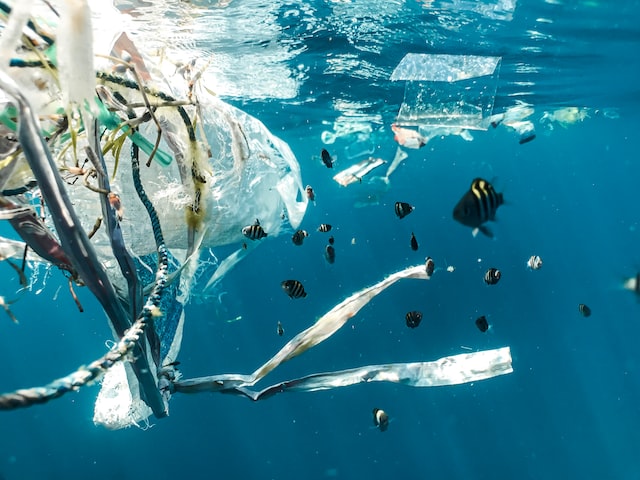 plastique pollution oceans
